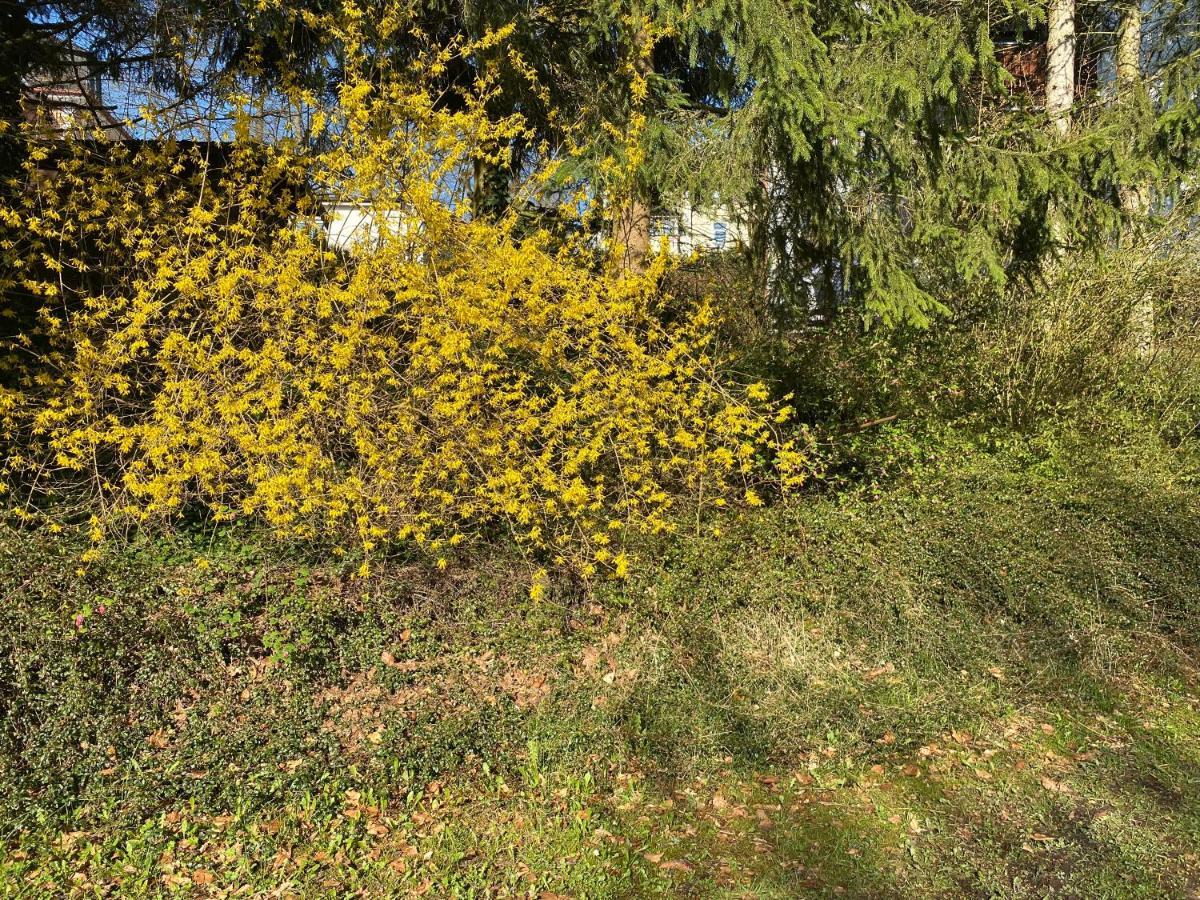 Ferienwohnung Sternenhimmel Lichtenberg  Zewnętrze zdjęcie